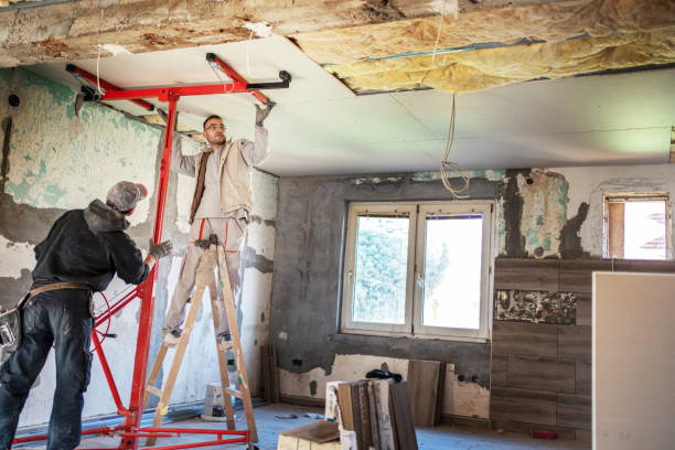 Best Insulation Maintenance and Repair in Dripping Springs, TX